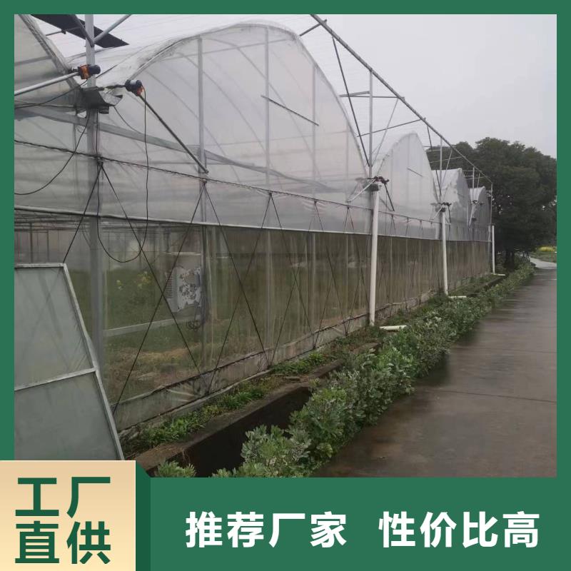 順德現(xiàn)代化農(nóng)業(yè)新篇章 智能大棚引領(lǐng)蔬菜水產(chǎn)花卉育苗產(chǎn)業(yè)升級